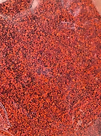 Piskopat biber