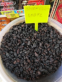 Kilis karası Jumbo boy